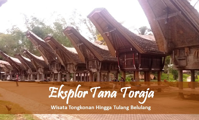 toraja