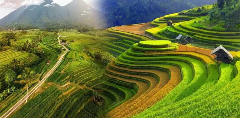 Subak di Bali